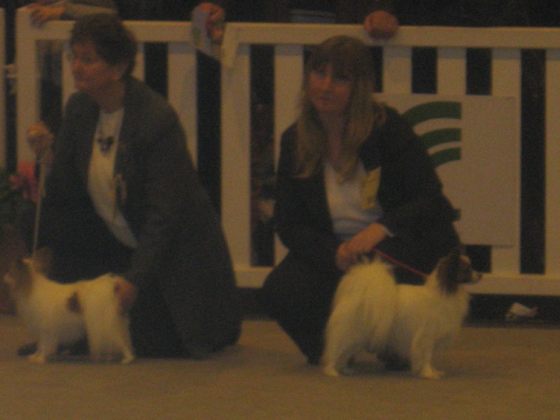 salon agriculture 2010